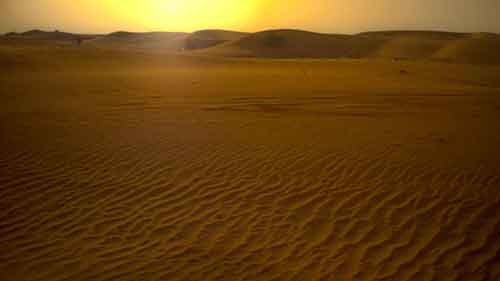 I took my $5 tripod with me for this night shot of the Desert. I love it!!!!!