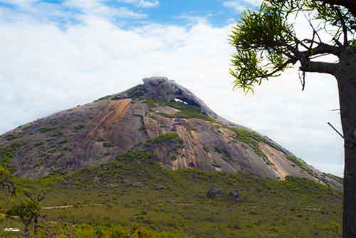 On the way out to Lucky Bay our from Esperance you will see Frenchmans Peak